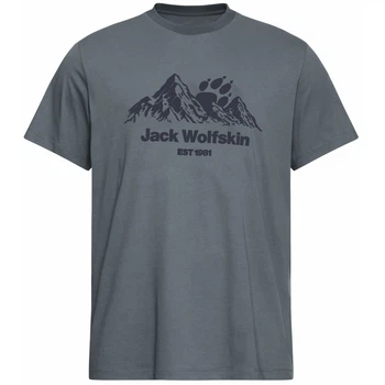 Футболка Jack Wolfskin Carefree T M M Серый/Синий (1109-4064886682800)