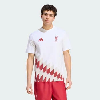 Мужская футболка Liverpool FC Stadium Graphic adidas KG2891 (M) белый (4068804742188)