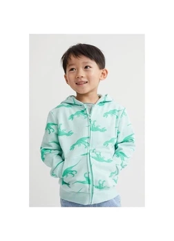 Дитяча толстовка з капюшоном для хлопчика H&M 270493814 92 см Світло-бірюзовий/Динозаври (2727000139209)