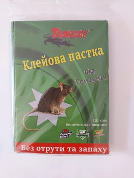 Клейова пастка від гризунів