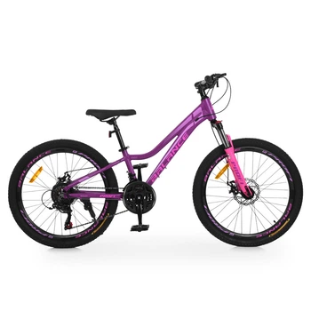 Велосипед горный подростковый 24" Profi Balance AM DD алюминиевая рама 11" на рост 125-150 см сливовый (BL-24006)
