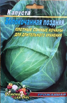 Насіння Капута Білокочена подня 500шт