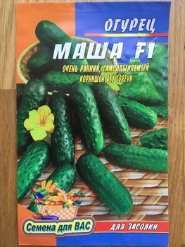 Насіння Огірок Маша F1 30шт