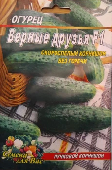 Насіння Огірок Вірні друзі F1 30шт
