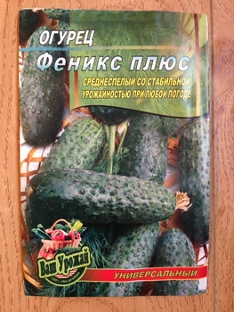 Насіння Огірок Феникс плюс 30шт