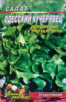 Насіння Салат Одесский кучерявец - 5гр