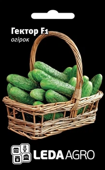 Насіння Огірок ГЕКТОР 10ШТ \КУСТОВОЙ\