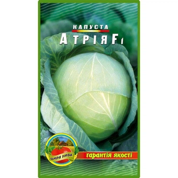 Насіння Капуста Атрия F1 3гр