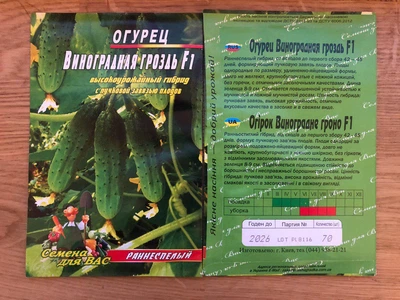 Насіння Огірок Виноградне гроно 30шт