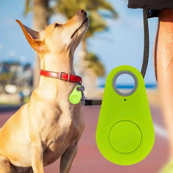 Bluetooth GPS трекер для поиска вещей и животных локатор со звуковым и световым сигналом (842109)