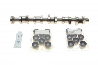 Комплект распредвала VW T5 2.5TDI 03-09, 96/120/128kw, (BNZ,AXD,BPC,AXE,BLJ) 428004030 , Schaeffler INA
