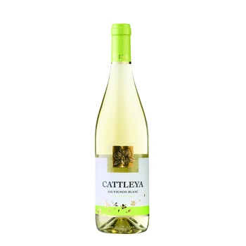Вино Cattleya Совіньйон Блан сухе біле 13% 0.75 л (Молдова)