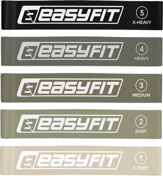 Резинки для фитнеса EasyFit EF-1813-GY MonoBand набор 5 шт (56003619)