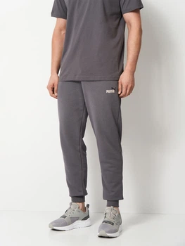 Спортивные штаны мужские Puma Essentials Seasonal 68471477 S Moody Gray (4070033474822)