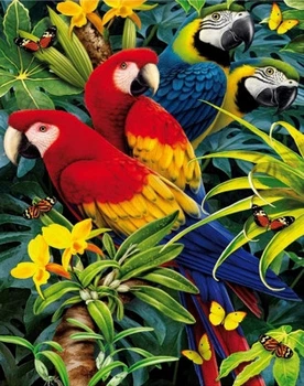 Алмазна мозаїка ColorArt 30х40см Папуги ST434