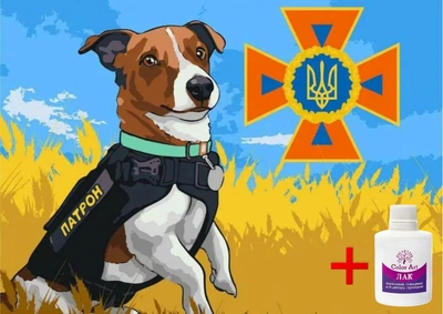 Алмазна вишивка на підрамнику ColorArt 30x40 Пес Патрон STP482 + Подарунок лак для покриття