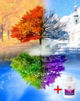 Набір алмазної мозаїки на підрамнику ColorArt Пори року 40x50 SPP038 + Подарунок лак для покриття