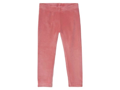 Лосини велюрові для дівчинки Pepperts by Esmara kids 491059 146-152 см (10-12 years) рожевий