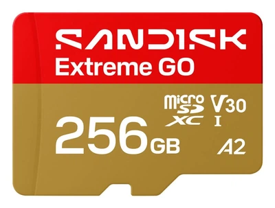 Карта пам'яті SANDISK Extreme GO SDXC 256GB UHS-I V30 A2 (SDSQXGN-256G-GN6MN)