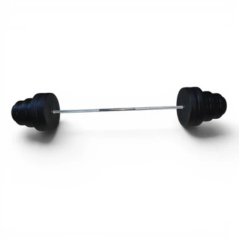 Штанга EVG-SPORT 80 кг