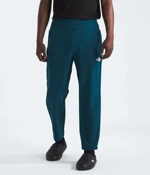 Брюки мужские The North Face Tekware™ Grid Pants M Синій NF0A84F14H0