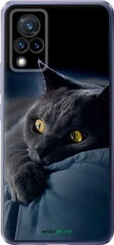 Чехол на Vivo V21 Дымчатый кот "825u-2368-70447"