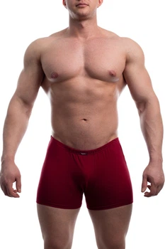 Трусы боксеры Bono 58(4XL) Бордовый (152058)