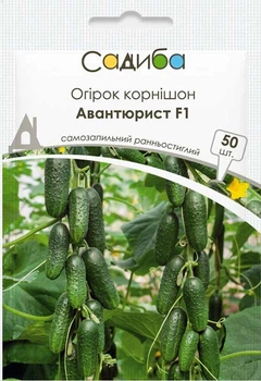 Огурец Авантюрист F1, 50 шт., Садиба