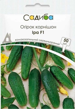 Огурец Ира F1, 50 шт., Садиба