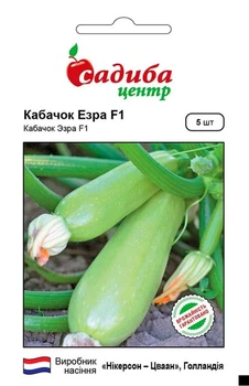 Кабачок Эзра F1, 5 шт., СЦ