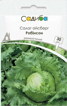 Салат айсберг Робинсон, 30 шт., Садиба