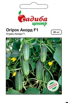 Огірок Аккорд F1 20 шт СЦ