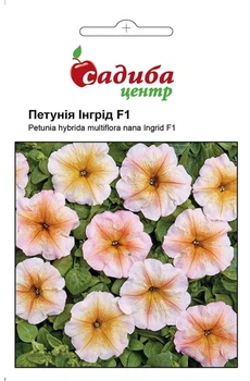 Петунія Інгрід F1 10 гранул СЦ
