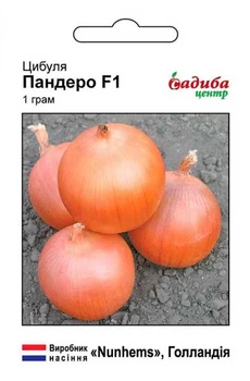 Лук репчатый Пандеро F1, 1 г, СЦ
