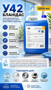 Спиртосодержащее средство для мытья водостойких поверхностей У42 Бланидас 5000 мл