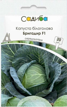 Капуста белокочанная Бригадир F1, 20 шт., Садиба