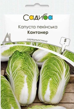 Капуста пекинская Контонер, 0,5 г, Садиба
