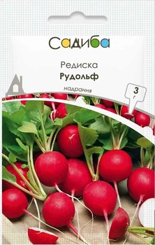 Редис Рудольф, 3 г, Садиба