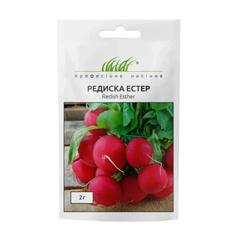 Редиска Эстер, 2 г