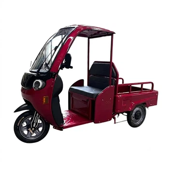 Трицикл грузовой аккумуляторный FORTE DW1200-1-1 Красный