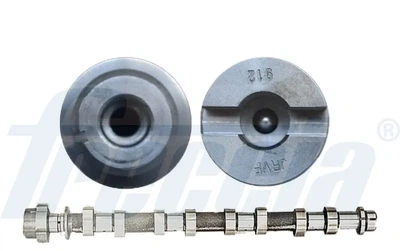 Розподільний вал FRECCIA CM052193 Nissan X-Trail, Qashqai, Primastar; Renault Laguna, Trafic, Megane, Master, Kaleos, Espace, Latitude, Scenic, Grand Scenic; Opel Movano, Vivaro 8200827912, 8200619361, 8200827919