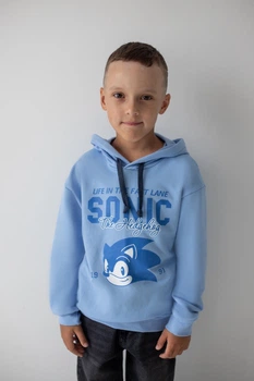 Худі для хлопчиків АвексТекс 04-2811-106НМ 122 см світло-блакитний sonic