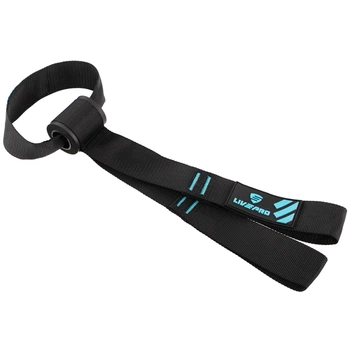 Дверной фиксатор Якорь для эспандеров двойной DOOR ANCHOR LiveUp LP8709 Черный