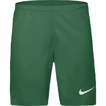 Детские шорты Nike Laser VI HV8249-302, Зеленый, Размер (EU) - 164cm