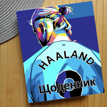 Дневник Ерлинг Холанн Erling Haaland (31558)