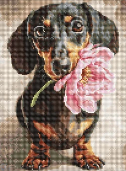 Алмазная мозаика без подрамника Собачка и сюрприз ©art_selena_ua 30x40 AMC20453 Идейка