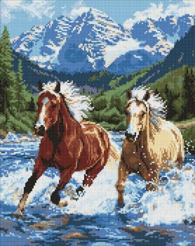 Алмазная мозаика Сила в движении ©art_selena_ua 40x50 AMO20010 Идейка