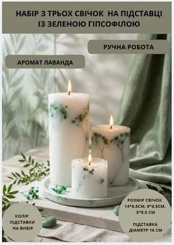 Свечи ароматические парафиновые набор свечей ароматичних арома свеча ручной работы декоративные ароматизированные свечи 3 шт на подставке с веточками зеленой гипсофилы аромат лаванда
