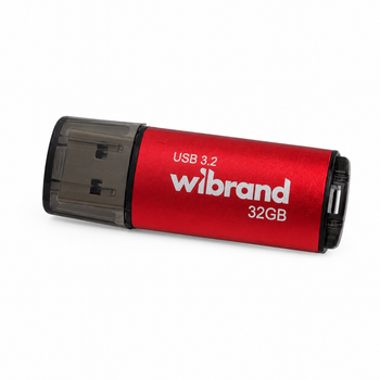 Флеш-накопичувач Wibrand USB 3.2 Gen1 Ladybug 32GB Red (WI3.2/LB32P10S)