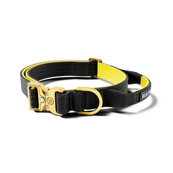 Тактичний нашийник для цуценят та міні собак з полегшеним замком BullyBillows Lighter Combat Collar Handle 2.5 cm XS-M: 25 мм, ОШ 34-46 см Жовтий